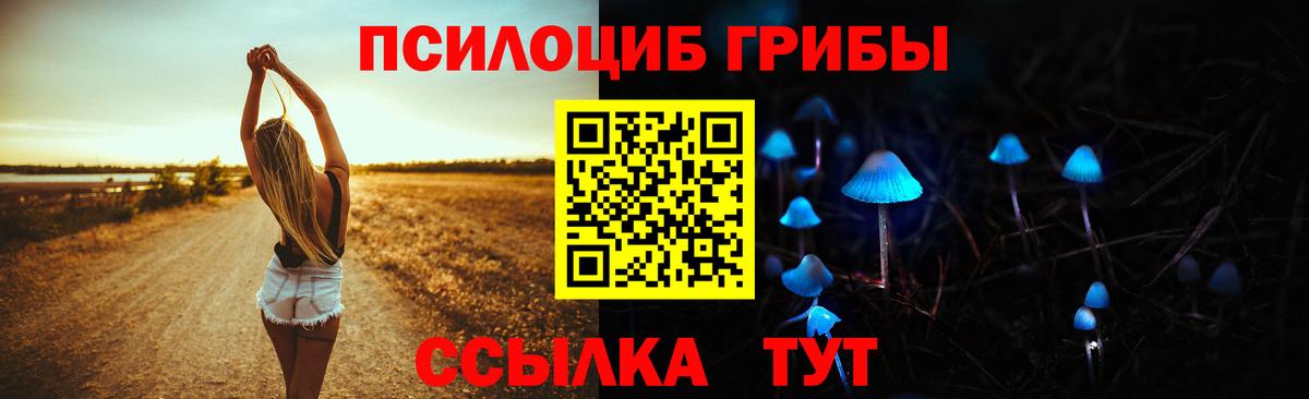Псилоцибиновые грибы мицелий  Псилоцибиновые грибы мухоморы  Вход с VPN  Дмитров 