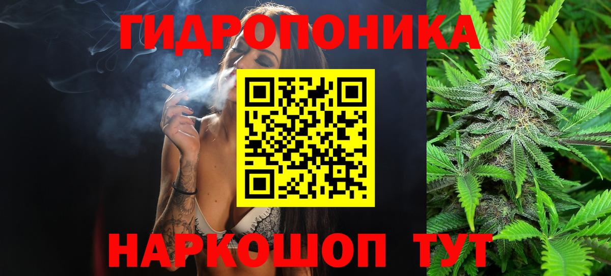 Канабис сатива Дмитров
